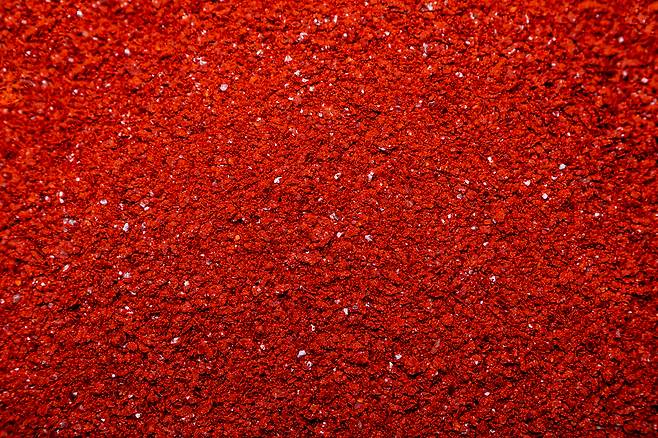 사진=클립아트코리아