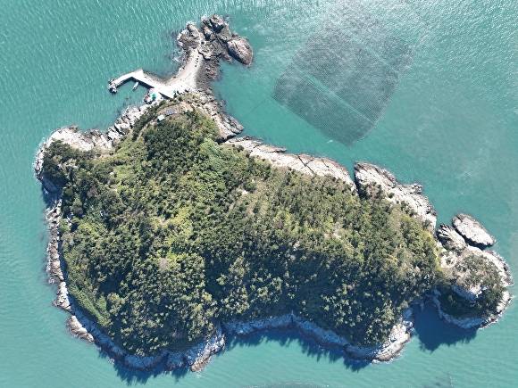 전남 완도군 노화읍 대제원도 전경이다. [사진=완도군청]