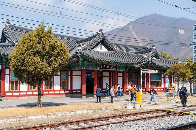 4~5월 영월을 열차로 찾아 여행하면 푯값을 할인 쿠폰으로 돌려받을 수 있다.