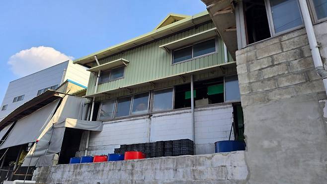 지난 25일 대전시 대덕구 대화동 안전공업 2공장(대화공장) 뒤편에 검은 기름때가 잔뜩 묻은 포댓자루와 폐유를 보관하는 철제 드럼통이 위태롭게 쌓여 있다. 신진호 기자