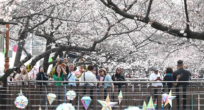 국내 최대 봄꽃 축제 '진해군항제' 개막일인 27일 오후 경남 창원시 진해구 여좌천 일대를 찾은 관광객이 벚꽃을 구경하며 봄기운을 만끽하고 있다.   이날 진해구 최고기온은 22도를 기록했다.연합뉴스