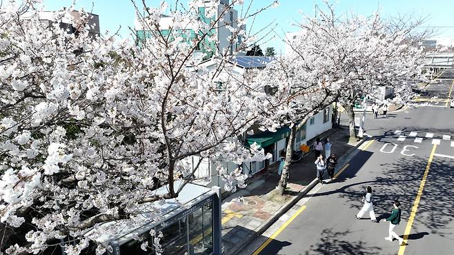 사진 출처 : 연합뉴스