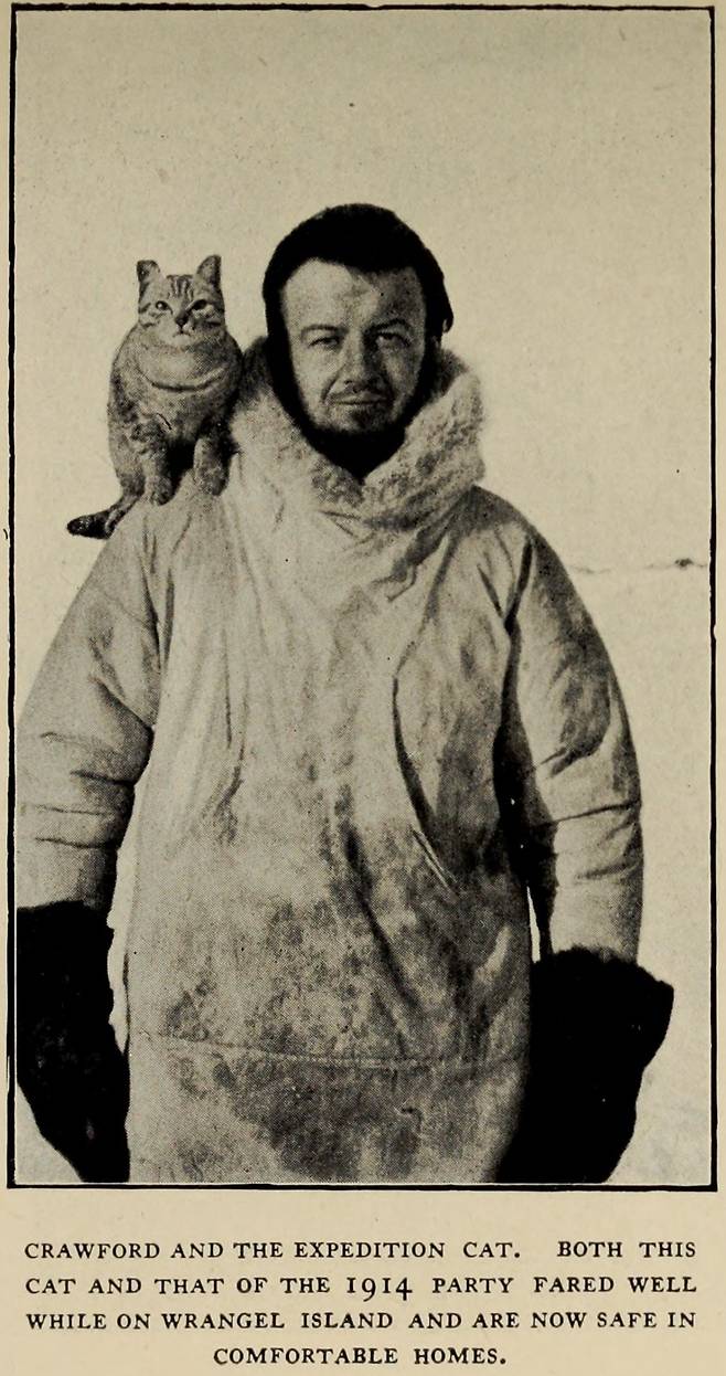 앨런 크로퍼드와 고양이 빅토리아, 1922년경 [빌잘무르 스테판슨/브랑겔 섬의 모험]