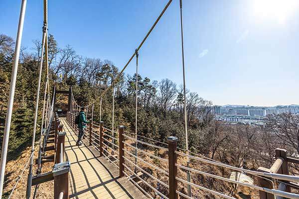 산림욕장 한편에 있는 출렁다리.