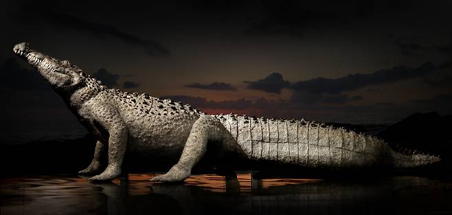 3つの人生、320×90×85 cm、卵板、宅配ボックス、接着剤、2018