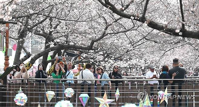 봄을 담다 (창원=연합뉴스) 김동민 기자 = 국내 최대 봄꽃 축제 '진해군항제' 개막일인 27일 오후 경남 창원시 진해구 여좌천 일대를 찾은 관광객이 벚꽃을 구경하며 봄기운을 만끽하고 있다.
이날 진해구 최고기온은 22도를 기록했다. 2026.3.27 image@yna.co.kr