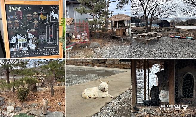 시계 방향으로 율믜당의 전경을 그려놓은 지도, 율믜당의 넓은 마당, 마당에 사는 동물들, 마스코트인 라떼, 카페 구석구석에 가족의 손길이 묻어있는 모습. /신현정기자 god@kyeongin.com