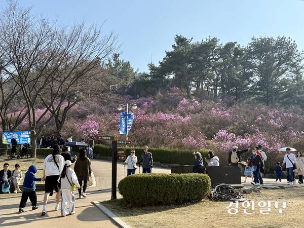 28일 부천종합운동장 일대에서 열린 ‘부천 페스타(B-festa)-봄꽃여행’을 즐기고자 관람객들이 진달래 동산으로 들어서고 있다. 2026.3.28 /김연태기자 kyt@kyeongin.com