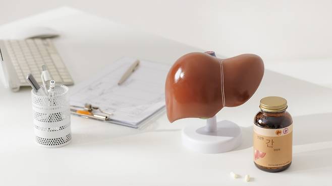 피로와 소화불량이 반복된다면, 간 건강을 의심해 볼 수 있다|출처: 클립아트코리아