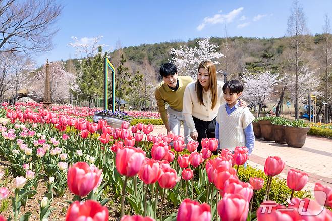 김해가야테마파크.(김해시 제공. 재판매 및 DB금지)