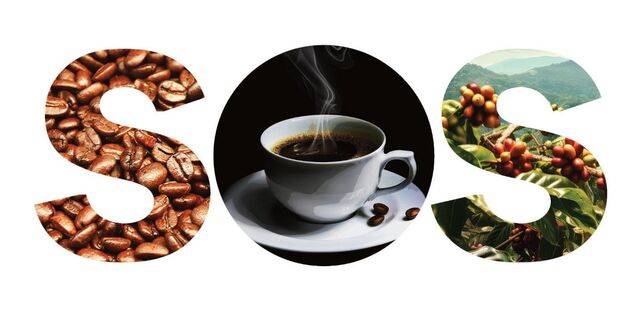 게티이미지뱅크