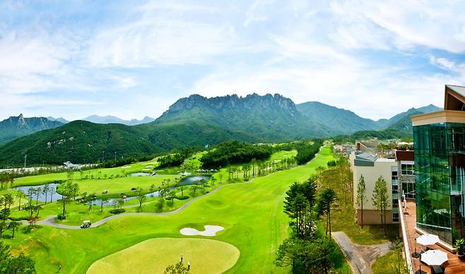 소노펠리체 델피노