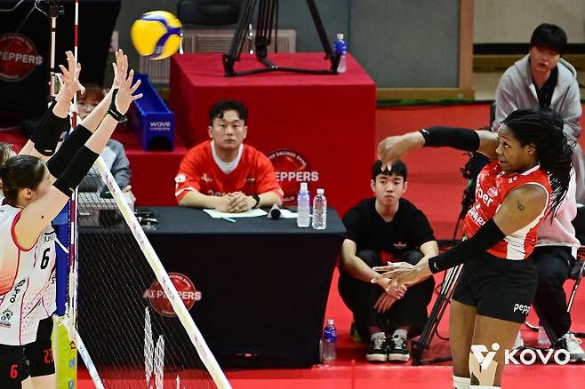 공격하는 페퍼저축은행의 조이(오른쪽) [한국배구연맹 제공. 재판매 및 DB 금지]