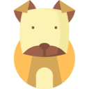 개띠. 자세히 알아보기