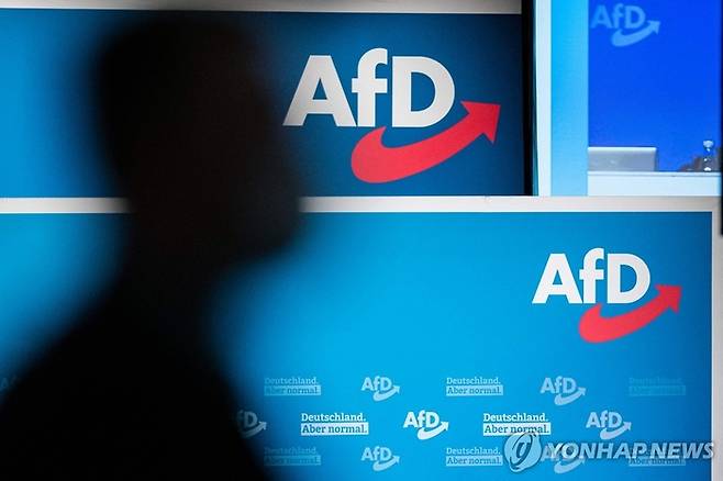독일 극우 정당 독일을 위한 대안(AfD). [AFP 연합뉴스