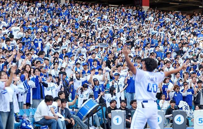 2만4000명의 만원 관중이 들어찬&nbsp;28일 대구 롯데-삼성전서 팬들이 응원을 하고 있다. 대구｜뉴시스