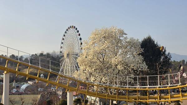 광주 북구 패밀리랜드 풍경. 정성현 기자