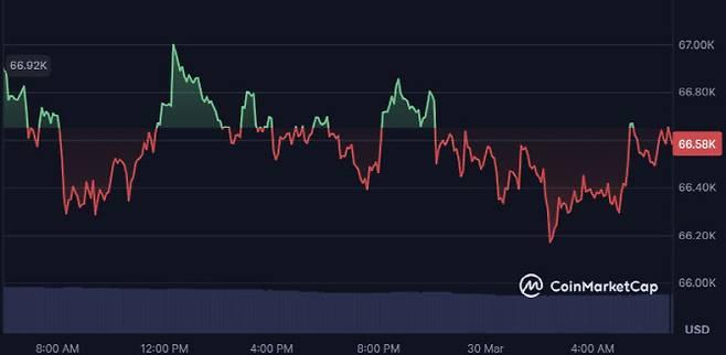 비트코인이 30일 6만6000달러(1억원선) 안팎 시세를 보이고 있다. (사진=코인마켓캡)