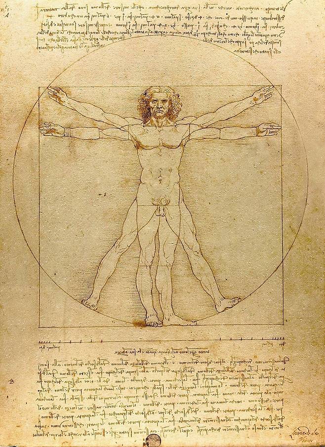 레오나르도 다빈치가 그린 ‘비트루비우스적 인간’. 고대 로마 시대 건축학자인 비트루비우스의 인체 비례 이론을 구현한 그림이다. /위키미디어 커먼스