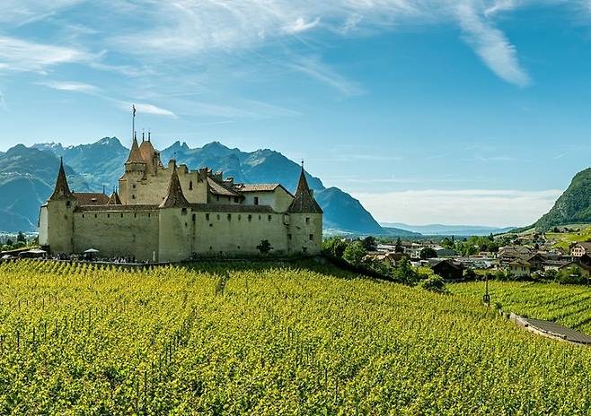 스위스 보주 와인 산지 [사진=스위스 와인 홍보협회]