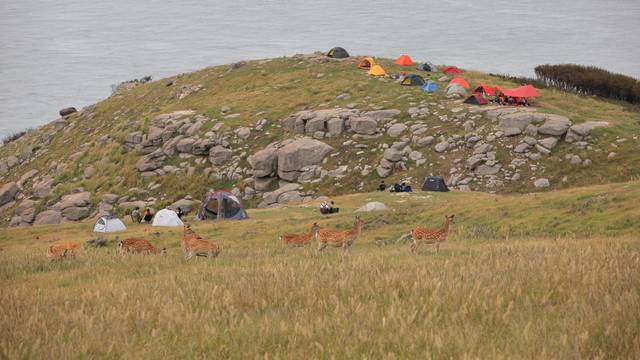 굴업도에서 배낭 야영(백패킹)을 하는 모습. 인천투어 제공