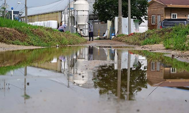 충북 청주시 오송읍 미호강교 인근 마을에서 주민들이 쓰러진 농작물을 복구하고 있다. 전날 내린 폭우로 미호강교 인근에 홍수경보가 내려 졌으며 인근 도로가 물에 잠겼다.   청주=이상섭 기자
