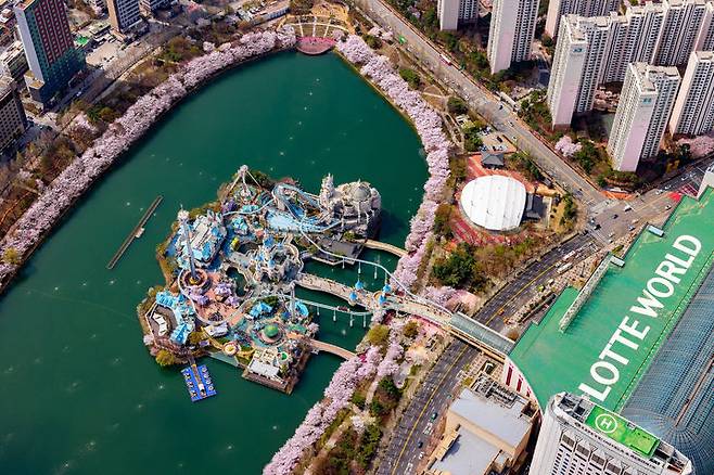 롯데월드타워 '서울스카이'에서 내려다본 석촌호수 벚꽃 *재판매 및 DB 금지