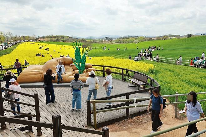 지난해 제22회 고창청보리밭축제가 열린 전북 고창군 공음면 학원농장 일대를 찾은 방문객들이 상징 조형물에 앉아 노란 유채꽃과 푸른 청보리밭을 배경으로 기념 사진을 찍고 있다. 고창군 제공