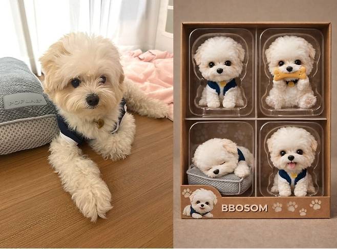 반려견 뽀솜이의 사진으로 챗GPT 생성 이미지를 만든 모습 [독자 제공]