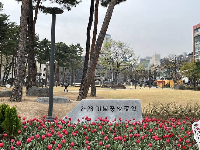 동성로 일대 [촬영 황수빈]