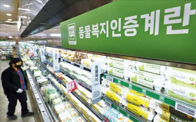건강에 대한 관심이 커지고 윤리적 소비가 확산하며 동물복지란 수요가 늘고 있다. 사진은 30일 서울의 한 대형마트 계란 판매대의 모습. /연합뉴스