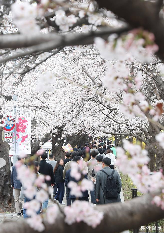 벚꽃이 피기 시작한 31일 점심시간에 서울 영등포구 여의도 윤중로를 찾은 인근 직장인과 외국인 관광객들이 산책을 하거나 셀카를 찍으며 봄날 오후를 즐기고 있다. 신원건 기자 laputa@donga.com