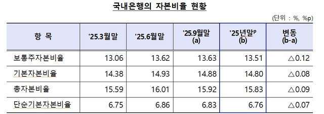 [금융감독원 제공]