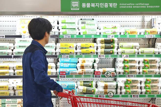 30일 서울의 한 대형마트 계란 판매대 모습. [연합뉴스]