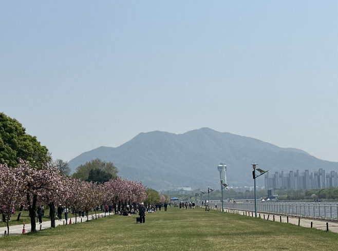 한강과 맞닿아 있는 하남 미사경정공원 전경. 벚꽃과 겹벚꽃 산책로가 이어져 봄철 나들이 장소로 찾는 시민들이 많다.