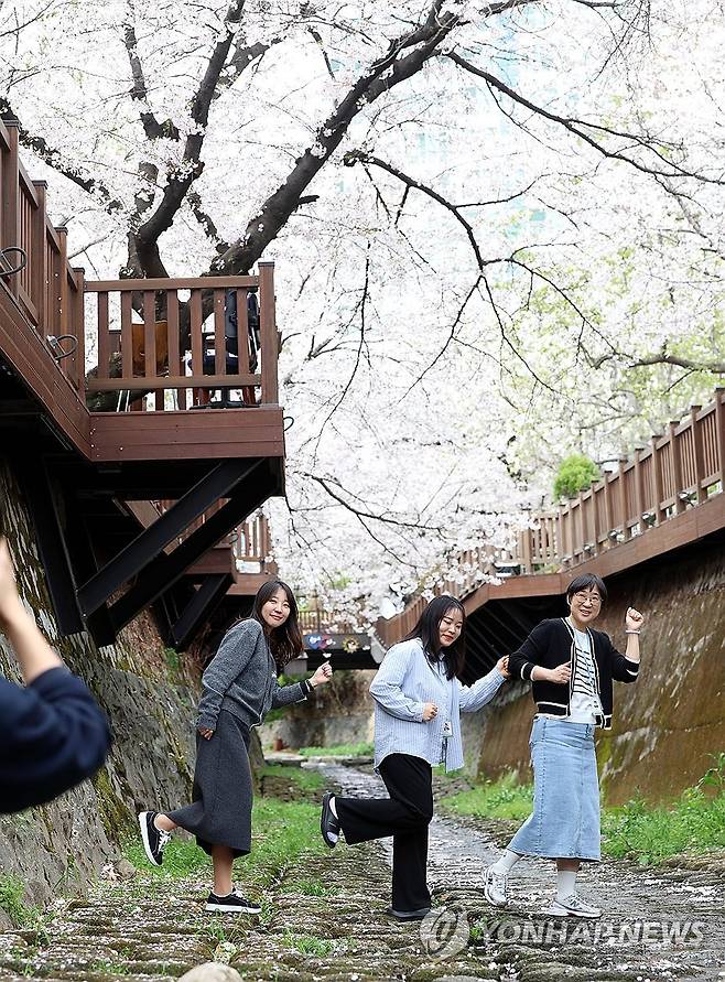 벚꽃 추억 (창원=연합뉴스) 김동민 기자 = 31일 경남 창원시 마산합포구 소하천 거리에서 직장인이 활짝 핀 벚꽃을 배경으로 사진 촬영하고 있다. 2026.3.31 image@yna.co.kr