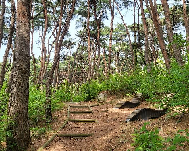 강화 마니산 치유의 숲 전경. <강화군 제공>