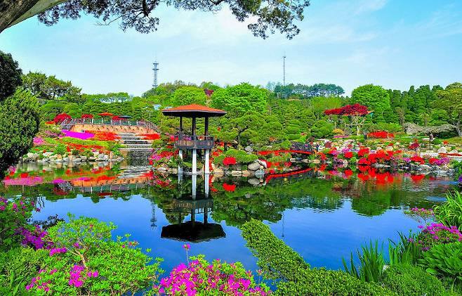 베어트리파크 봄날의 전경4.