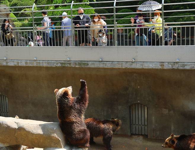 베어트리파크 봄날의 전경5.