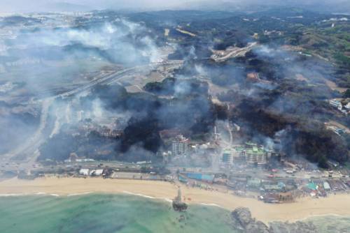 ◇2023년 4월 강릉에서 발생한 대형산불. 강원일보 DB