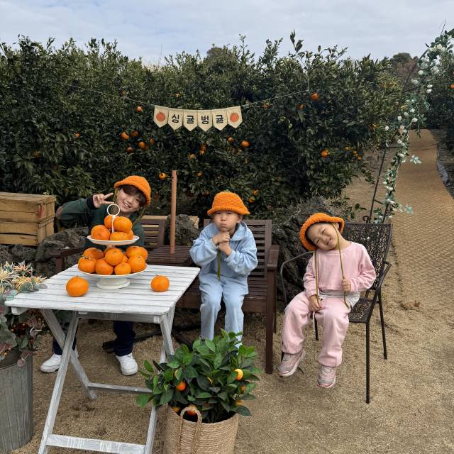 지난 1월 제주도의 한 감귤밭에서 (왼쪽부터)하윤, 예나, 예서. 김한나 씨 제공