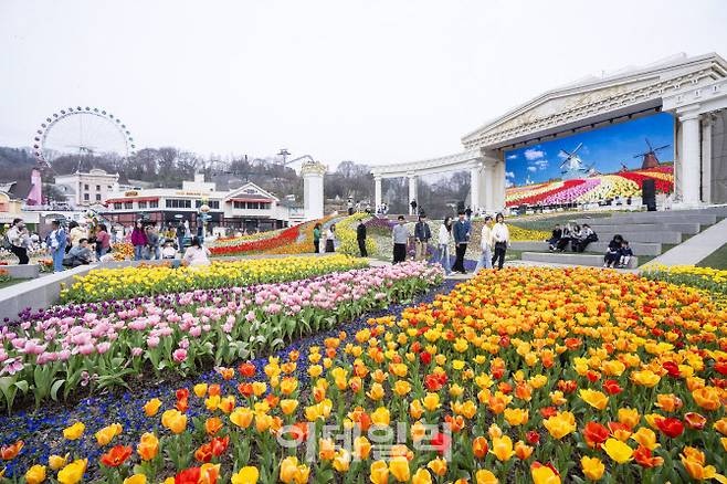 튤립축제가 한창인 포시즌스가든