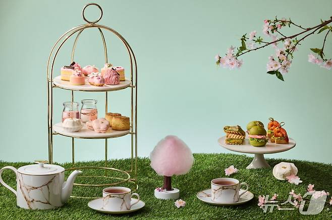카페&베이커리 '호라이즌', '스프링 블로섬' 애프터눈 티 세트.(카시아 속초 제공, 재판매 및 DB 금지) 2026.4.1/뉴스1