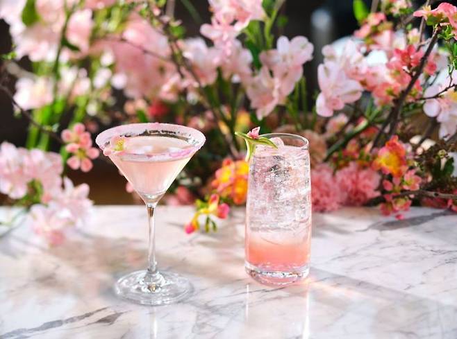 시즌 한정으로 4월12일까지 판매되는 '풀 블룸 마티니'(왼쪽)와 '블라썸 진 피즈'(오른쪽). '블라썸 진 피즈'는 알콜과 논알콜 중 선택할 수 있다. 롯데호텔앤리조트