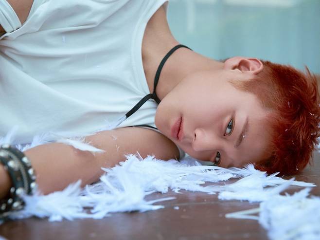 [사진 = YY엔터테인먼트 제공]