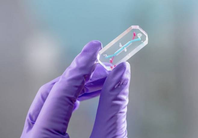 장기칩 실험은 심우주 방사선이 세포에 미치는 영향을 측정하는 데 쓰인다. Emulate/NASA 제공