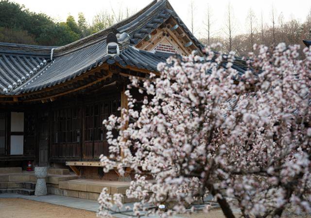 남구 양림동 이장우 가옥의 모습.