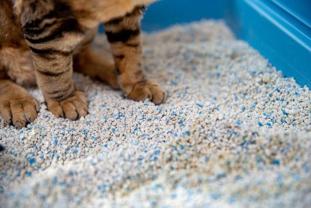 게티이미지뱅크