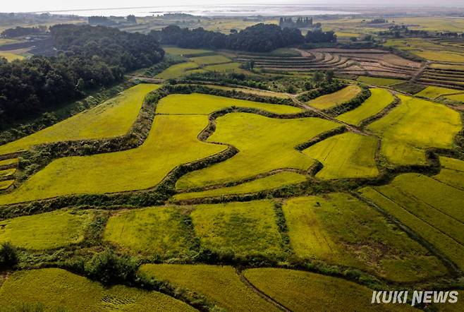 쿠키뉴스 자료사진.