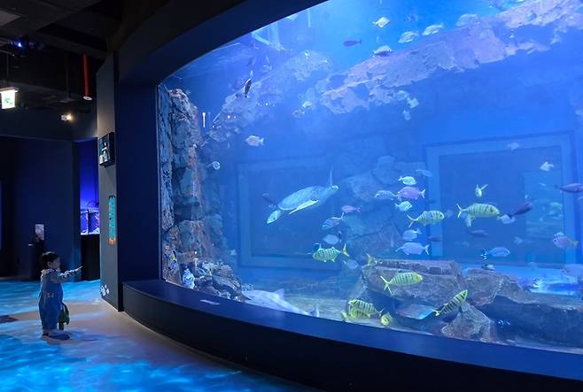 시흥 해양생태과학관. [경기관광공사]